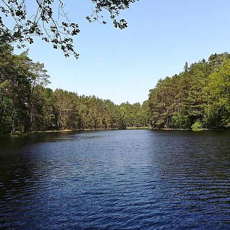 L'Ours Vert Baerenthal Екстериор снимка